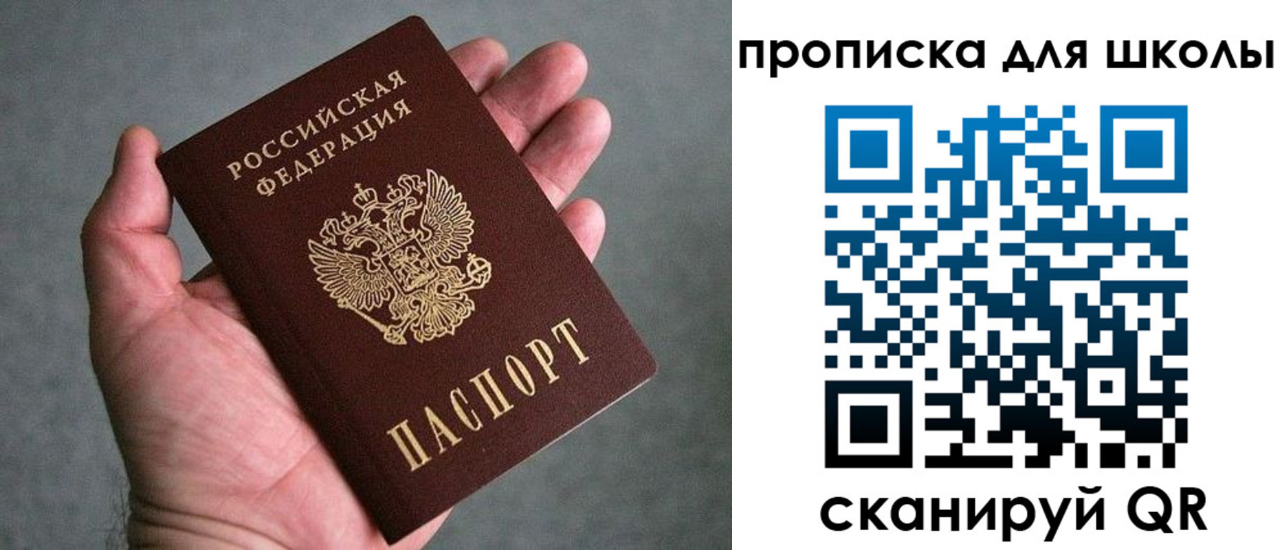 прописка для школы в Барыше